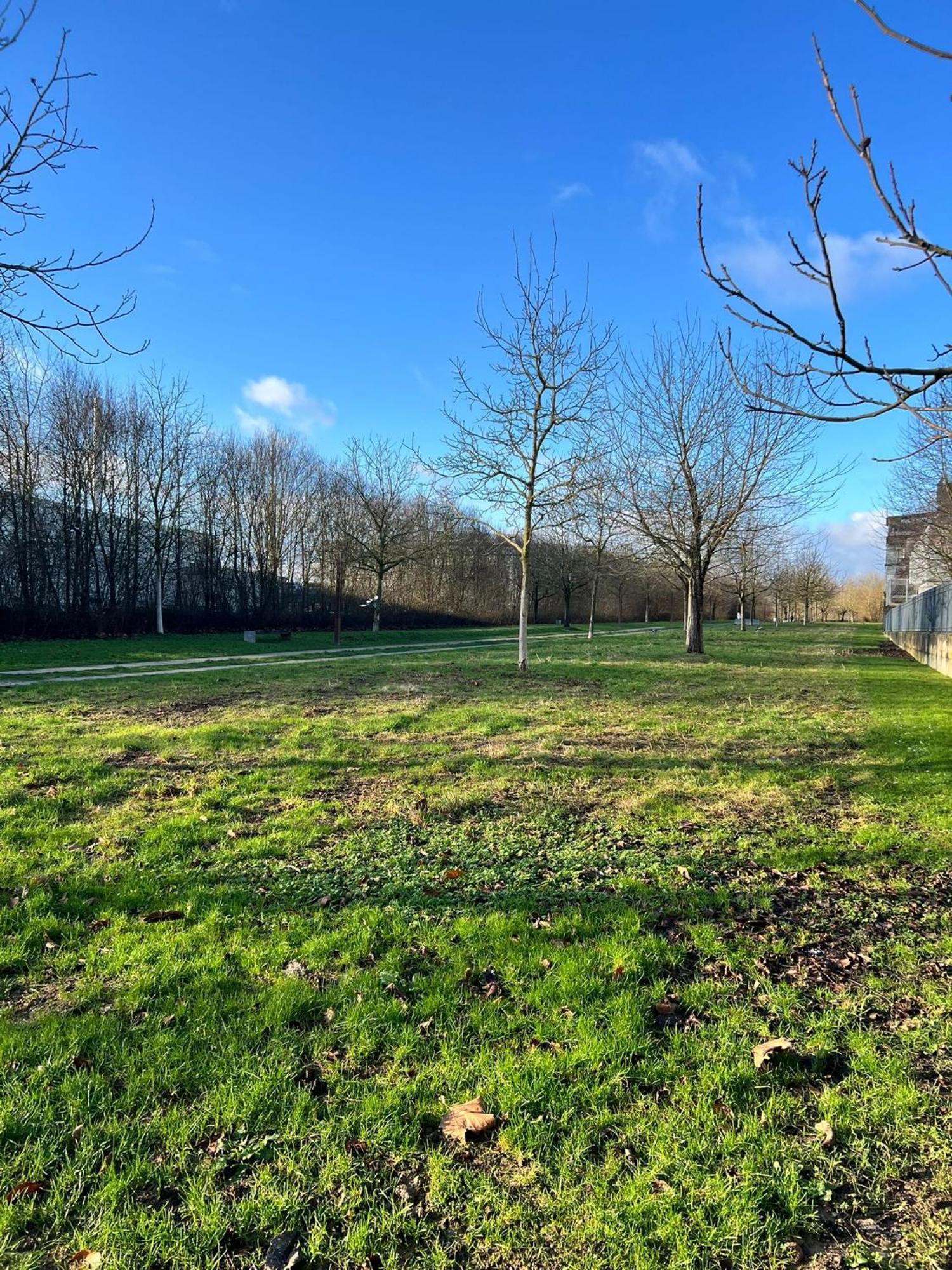 Appartement 2 Pieces 5Min Gare Val D'Europe Parking Inclus Montévrain Eksteriør billede